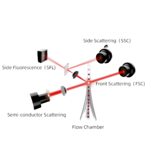 DH615 Analizador Hematológico